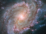 Spirální galaxie M 83 Foto: NASA, ESA, and the Hubble Heritage Team (STScI/AURA)