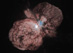 Eta Carinae - odsouzená hvězda