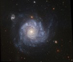 NGC 1309 a přátelé