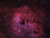 IC 410 a NGC 1893