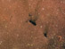 Molekulární mračno Barnard 163