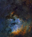 NGC 7822 v Kefeu