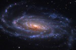 Spirální galaxie NGC 5033