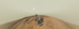 Panoramatický autoportrét Curiosity