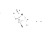 Hvězdy v M15 z observatoře Gaia