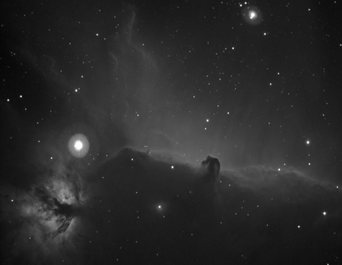 Horsehead and Flame Nebula_M