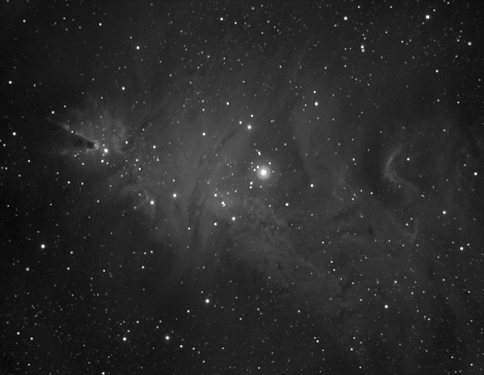 Cone and Fox Fur Nebula_M