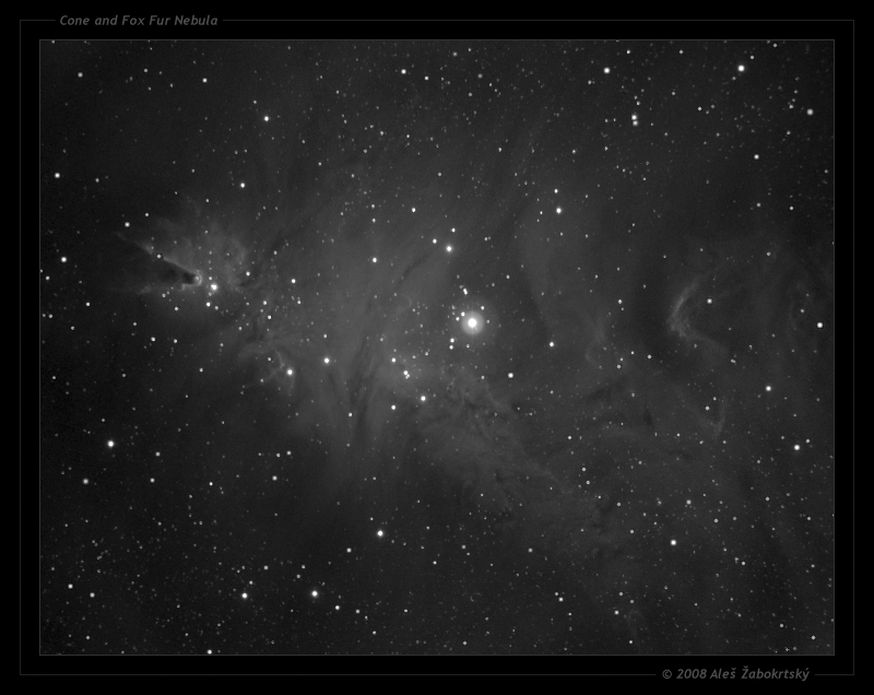 Cone and Fox Fur Nebula_V