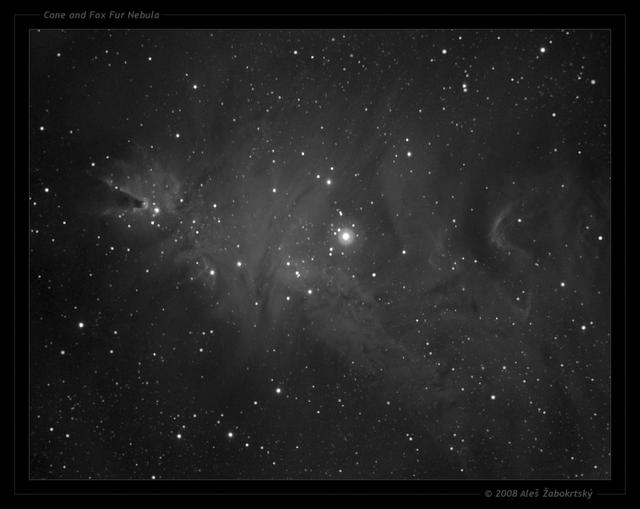 Cone and Fox Fur Nebula_V