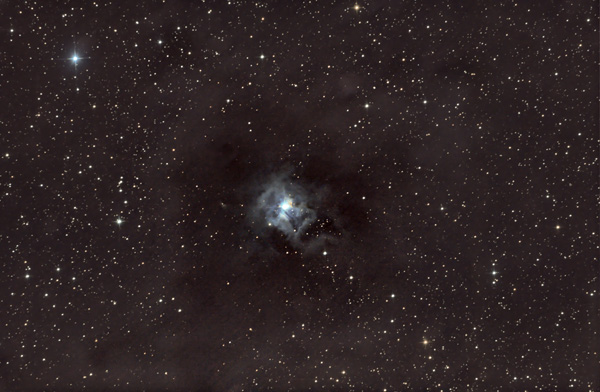 NGC-7023 iris m