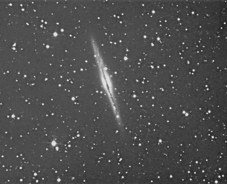 ngc891