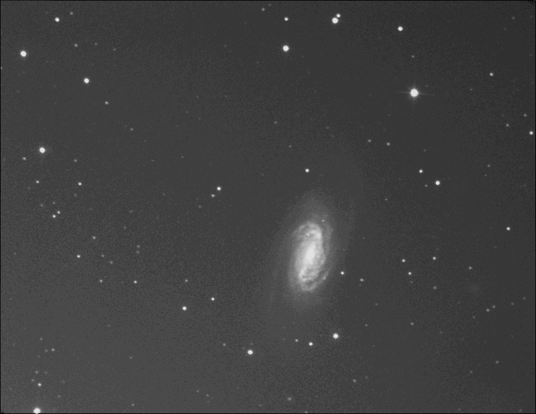 ngc2903