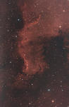 NGC-7000 (mexický záliv)..