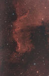 NGC-7000 (mexický záliv)
