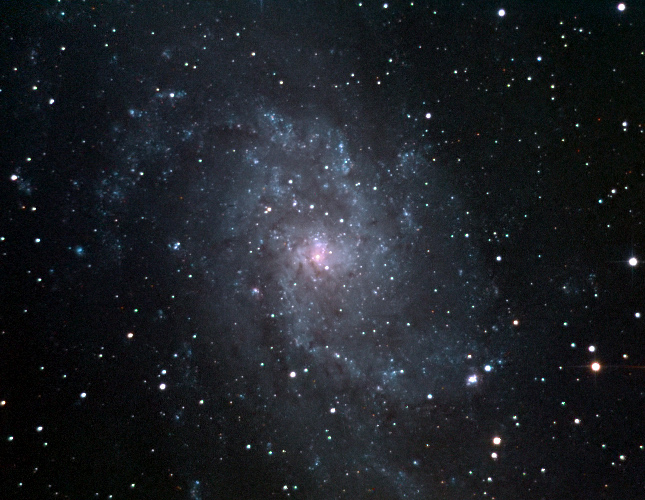 M33