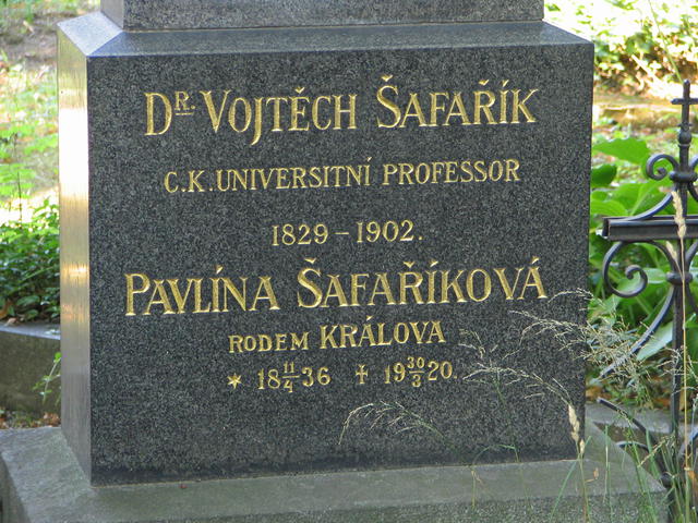 Šafařík Vojtěch + Šafaříková Pavlína (detail)