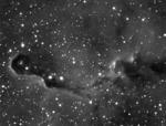 IC 1396 - VdB  142