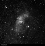 NGC 7635- Bublinka , 100%, ořez