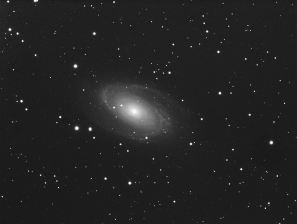 M 81