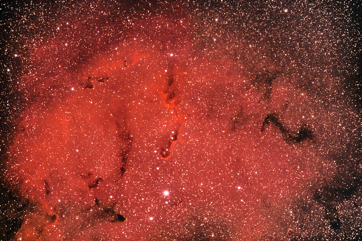 IC 1396Biba75