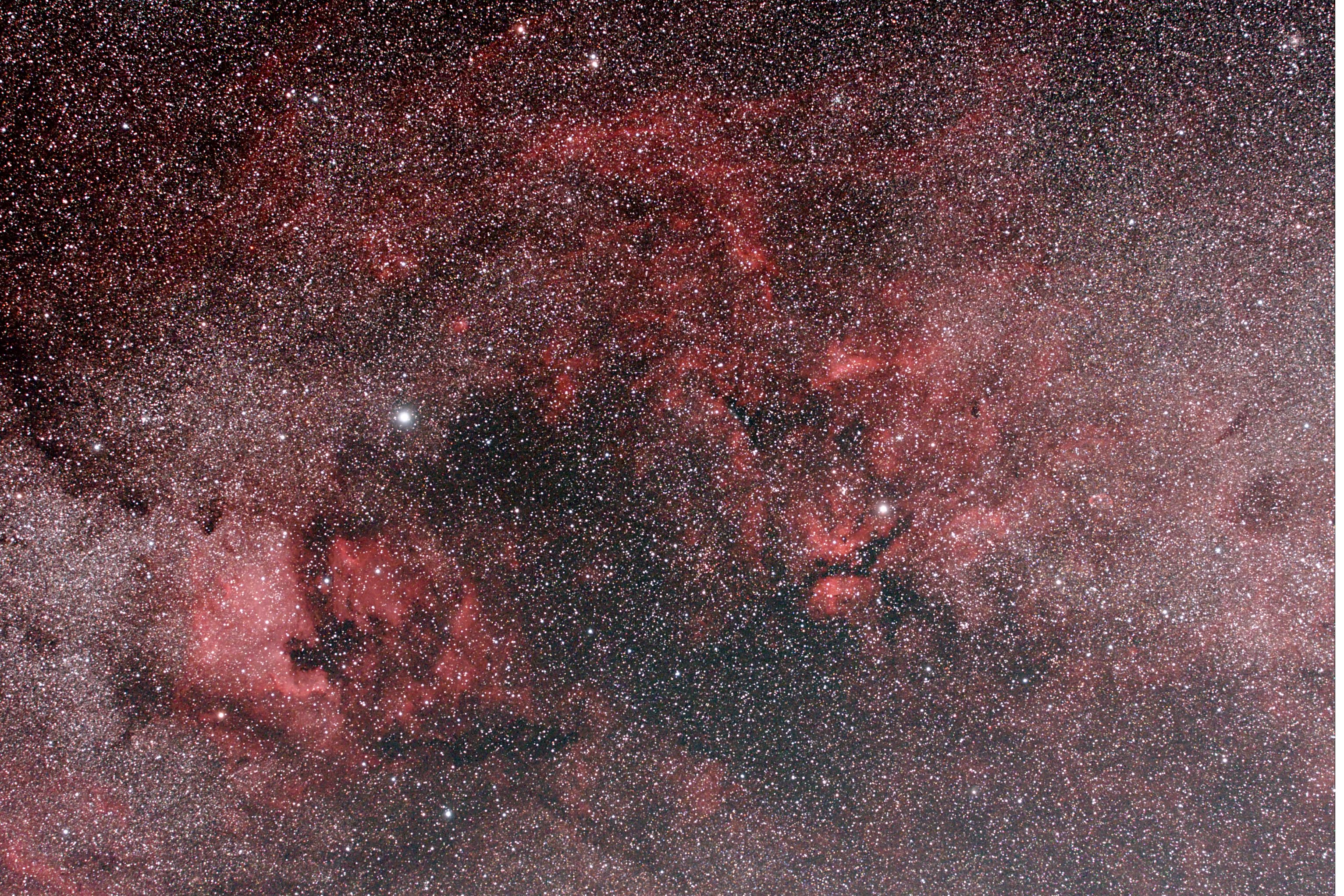 Cygnus widefield web