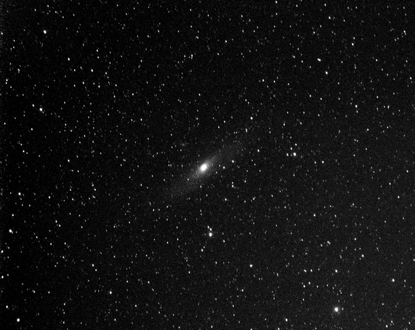 M31