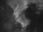 NGC7000_mexický záliv