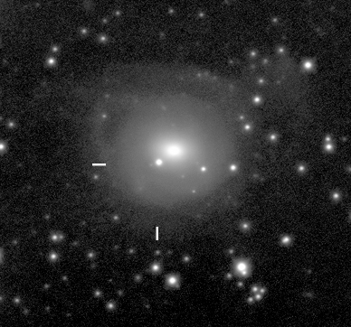 NGC 2655 + SN 2011B ...60% výřez kontrast