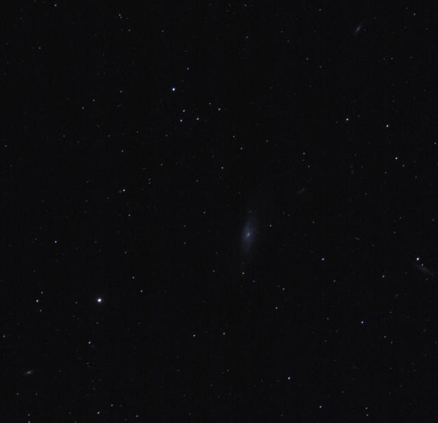 M106 NGC4346 4217 4220