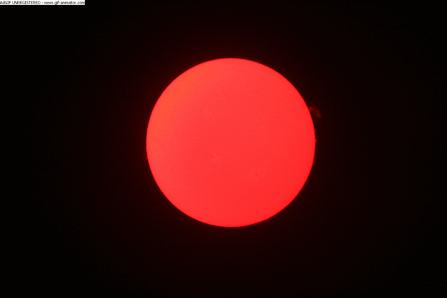 Sun 19.5.2012 -  protuberance