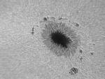 sunspots_050712_r1