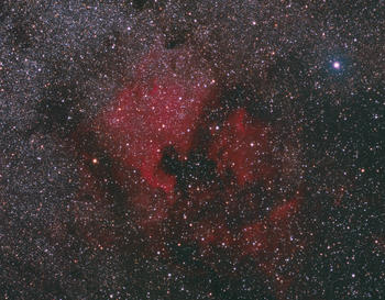 NGC 7000 výřez