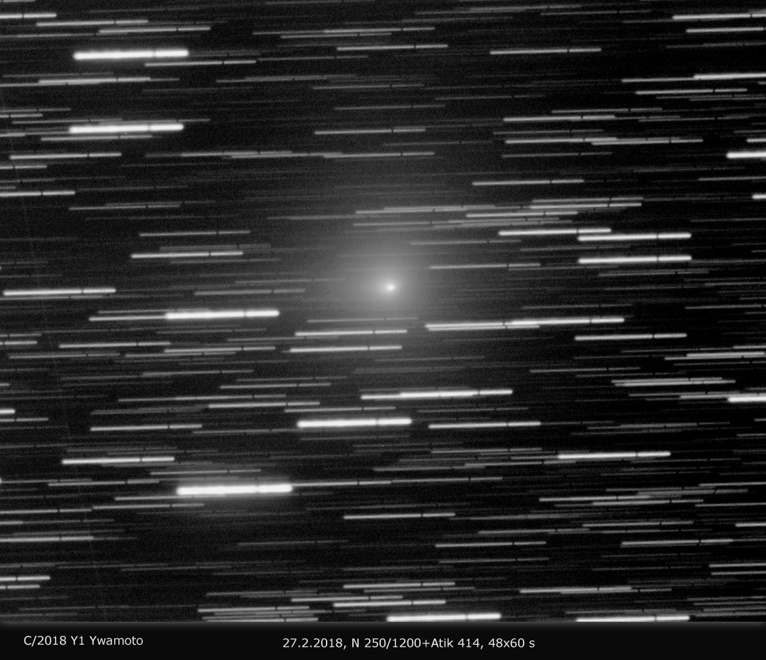 48x60s--Y1-Iwamoto-27-2-2019 čb